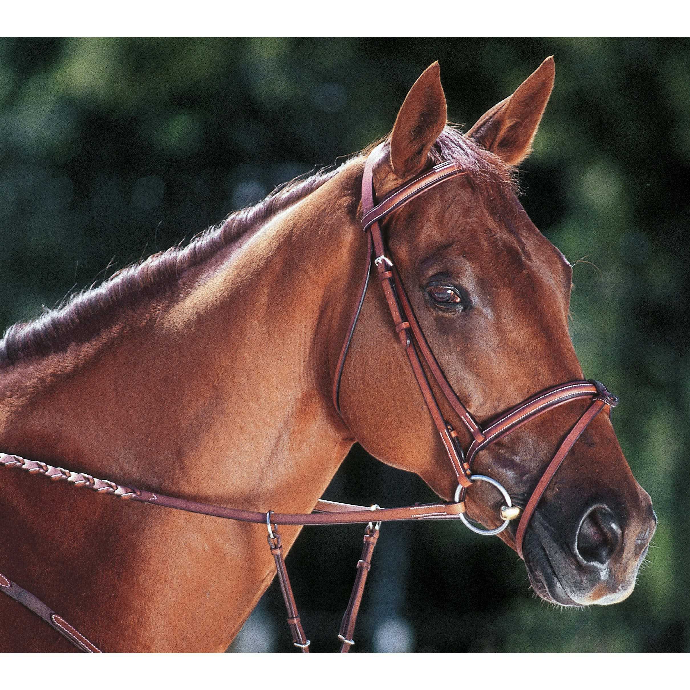 Guibert Paris - Raised and calfskin padded snaffle bridle