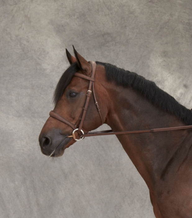 Guibert Paris - Atherstone snaffle bridle in leather