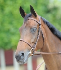 Full-leather Atherstone snaffle bridle, gold