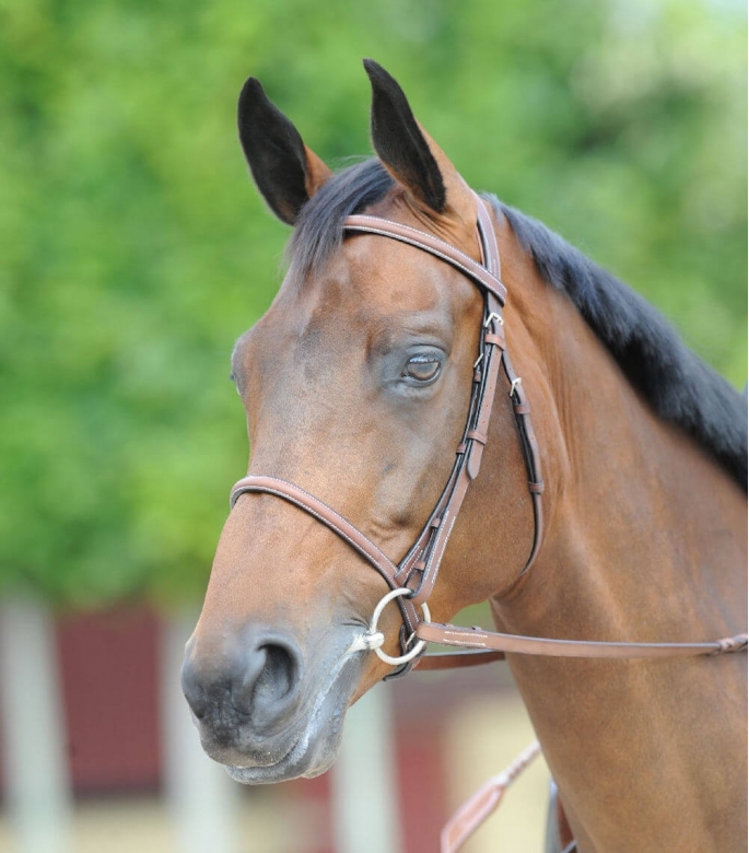 Guibert Paris - Atherstone snaffle bridle all leather