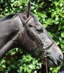Full-leather Atherstone snaffle bridle, havana
