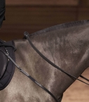 Guibert Paris - Atherstone breastplate with spare running martingale attachment