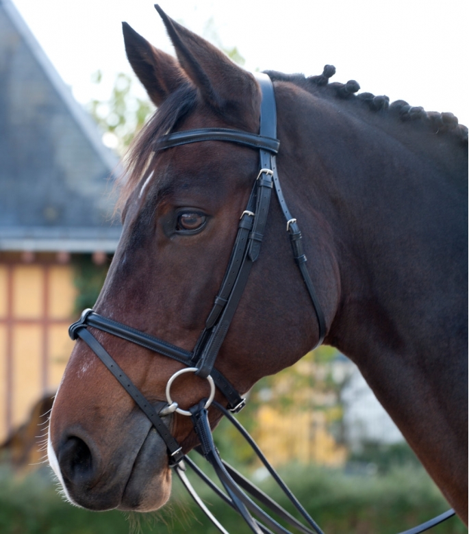 Bride De Dressage Kieffer Snaffle - Cuir - Taille Réelle Avec Rênes - Occasion