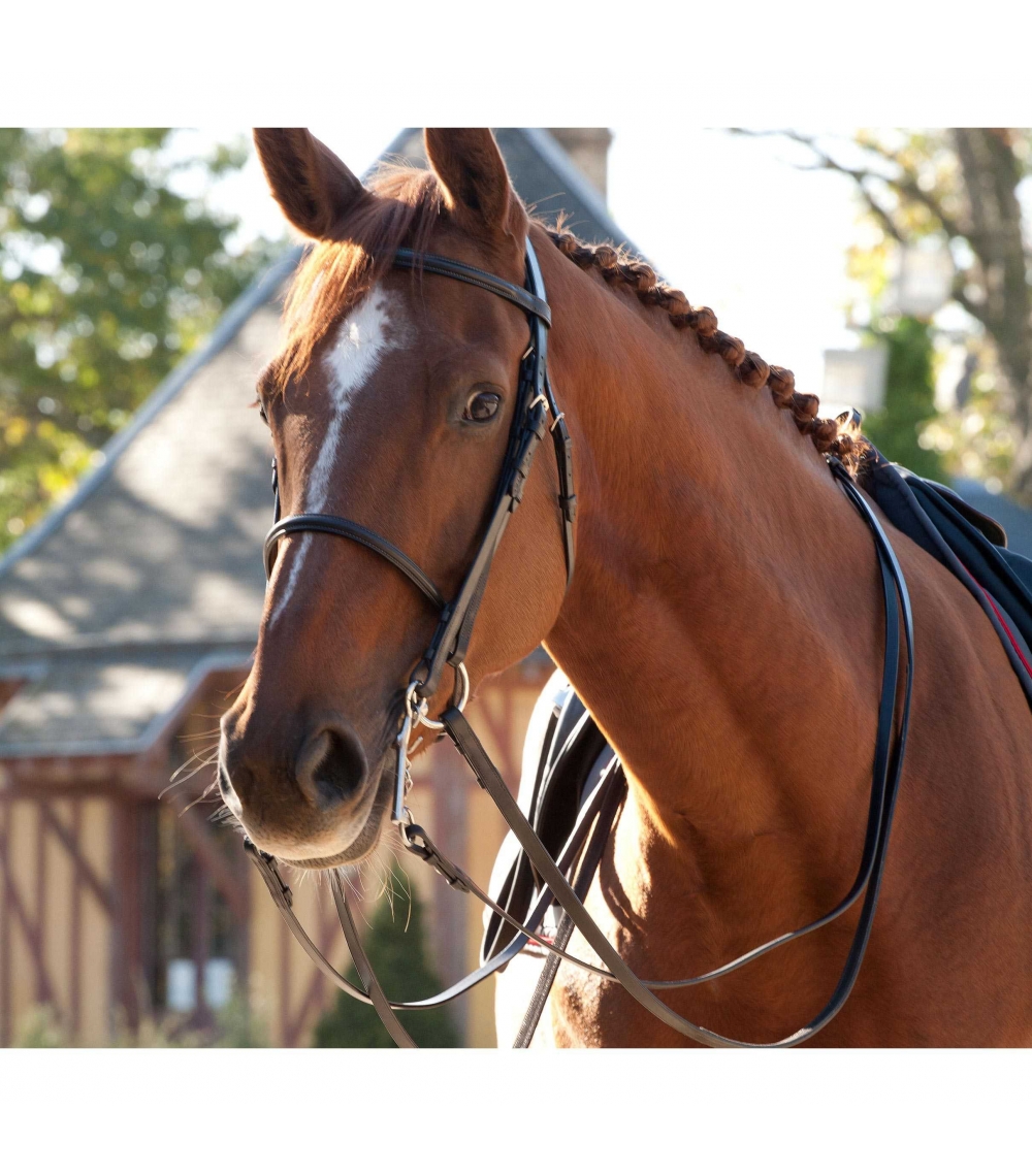 Raised double bridle Guibert Paris